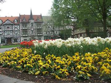 Deutschland 2011
