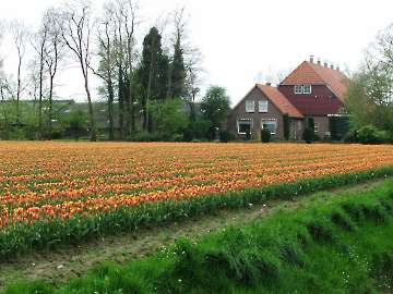 Holland 2014