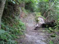 Für größeres Bild bitte klicken!