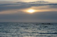 Für größeres Bild bitte klicken!