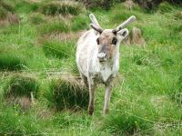 Für größeres Bild bitte klicken!