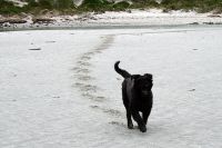 Für größeres Bild bitte klicken!