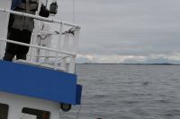 Für größeres Bild bitte klicken!