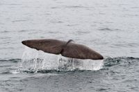 Für größeres Bild bitte klicken!