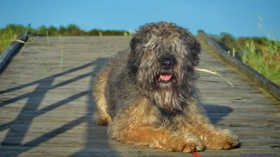 Für größeres Bild bitte klicken!