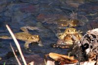 Für größeres Bild bitte klicken!