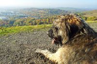 F&uuml;r gr&ouml;&szlig;eres Bild bitte klicken!