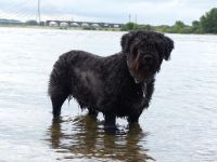 F&uuml;r gr&ouml;&szlig;eres Bild bitte klicken!