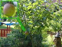 F&uuml;r gr&ouml;&szlig;eres Bild bitte klicken!