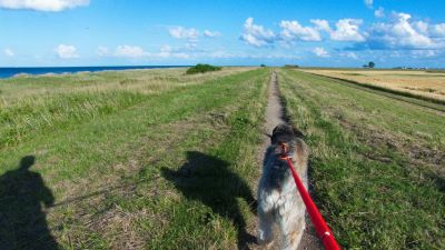 Für größeres Bild bitte klicken!