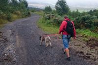 F&uuml;r gr&ouml;&szlig;eres Bild bitte klicken!