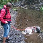 F&uuml;r gr&ouml;&szlig;eres Bild bitte klicken!