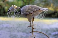 Für größeres Bild bitte klicken!