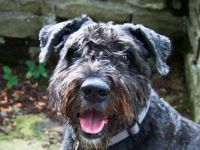 F&uuml;r gr&ouml;&szlig;eres Bild bitte klicken!