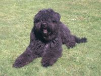 F&uuml;r gr&ouml;&szlig;eres Bild bitte klicken!