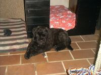 F&uuml;r gr&ouml;&szlig;eres Bild bitte klicken!